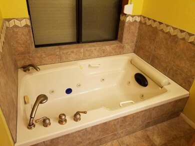 master jacuzzi tub