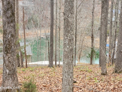 lot 21 Deer Run Point, Lafollette, TN 37766 - photo 3