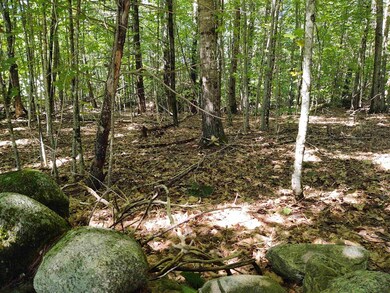 TM 55-2-5 Middle Rd, Center Tuftonboro, NH 03816 - photo 2