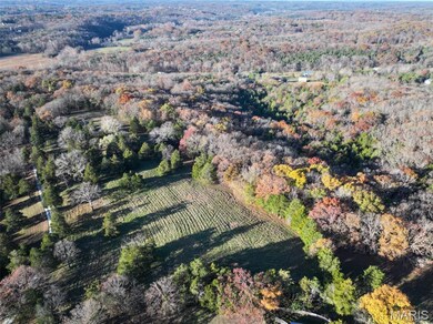 0 Scanlon Dr, de Soto, MO 63020 - photo 6