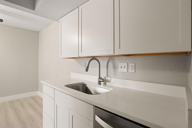 Kitchen with light wood-type flooring, light coun