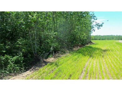 LOT 12 Red Maple Ln, Siren, WI 54872 - photo 6