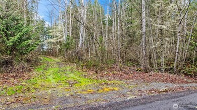 123 Highland Dr E, Roy, WA 98580 - photo 5