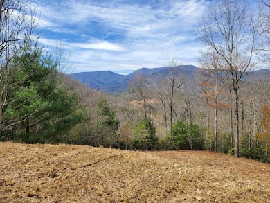Long Range Mountain Views
