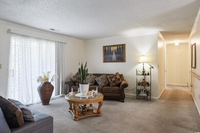 Carpeted living room featuring crown molding and a