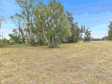 Vacant Forest Cir, Perry, FL 32347 - photo 5