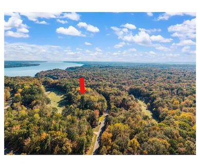 Aerial view of a heavily wooded area and a nearby body of water