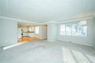 Light filled and neutral paint