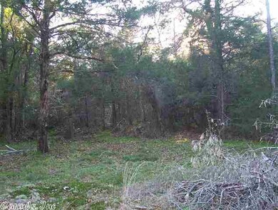 Lot 16 & 17 Wood Vine Trail, Higden, AR 72067 - photo 6