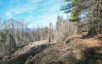 Additional View