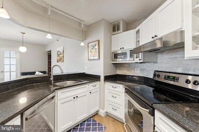 The Alta Vista unit 1117, Arlington, VA 22203 - photo 6