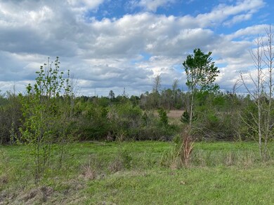 12 Crest Line Dr, Upatoi, GA 31829 - photo 4