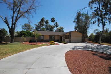 View from Curb