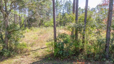 4727 Dunaway Ln, Pensacola, FL 32526 - photo 4