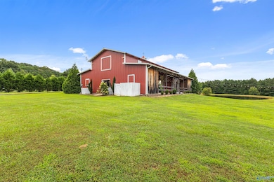 4908 Hopper Rd, Altoona, AL 35952 - photo 5