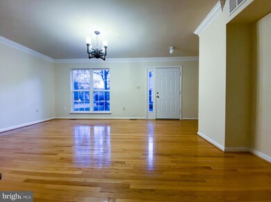 20331 Mill Pond Terrace, Germantown, MD 20876 - photo 4