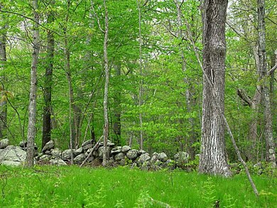 1490 Shermantown Rd, Saunderstown, RI 02874 - photo 3