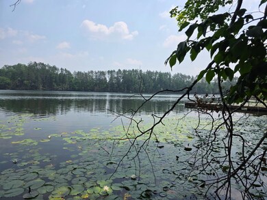 W2597 Hollister Rd E, White Lake, WI 54491 - photo 4