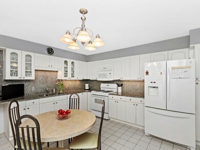 Imperial Towers unit 311, Chestnut Hill, MA 02467 - photo 3