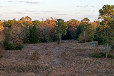 00 Interstate Highway 20, Winona, TX 75792 - photo 4