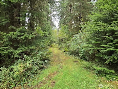 0 Lund Rd, Cosmopolis, WA 98537 - photo 5