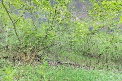 0 Allen Dr, Township 2, AR 72745 - photo 6