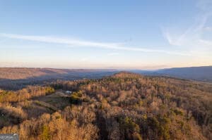 0 Puddin Ridge Rd, Flat Rock, AL 35966 - photo 2