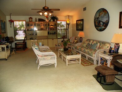 Living Area with Soaring Ceilings