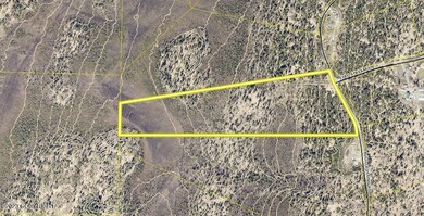 D19 Alaskan Wildwood Ranch, Anchor Point, AK 99556 - photo 6