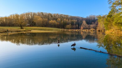 DJI_20250311084443_0198_D-HDR
