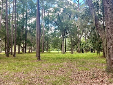 Lot 12, Phase 4 Sutherland Bluff Dr NE, Townsend, GA 31331 - photo 7