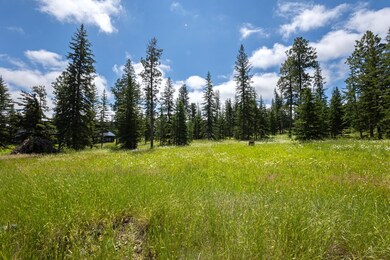 Lot 9 Block 8 Woodland Way, South Lawrence, SD 57754 - photo 5