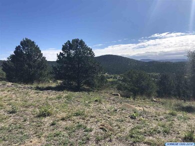 34 Oxbow, Silver City, NM 88061 - photo 5