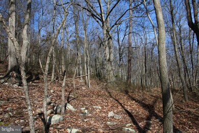 0 0 Back Rd, Toms Brook, VA 22660 - photo 6