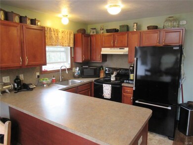 42 Teaberry Ln, Jim Thorpe, PA 18229 - photo 6