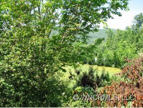 12 Blackberry Ln, Candler, NC 28715 - photo 7