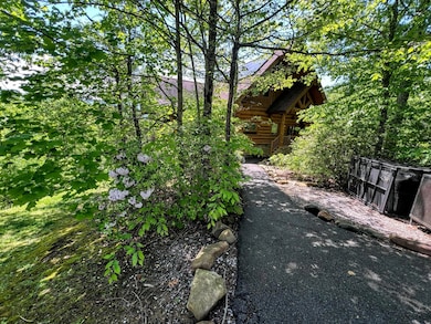 618 Big Bear Ridge Rd, Gatlinburg, TN 37738 - photo 4
