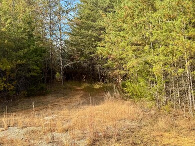 000 Sun Hill Way, Parrottsville, TN 37843 - photo 5