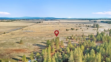 TBD N Ritchey Rd, Nine Mile Falls, WA 99026 - photo 5