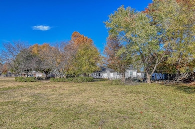 View of back yard looking North