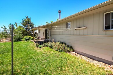815 NE 2nd St, Cedaredge, CO 81413 - photo 7