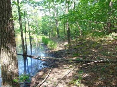 Lot 2 A Old Highway 25, Tumbling Shoals, AR 72581 - photo 5