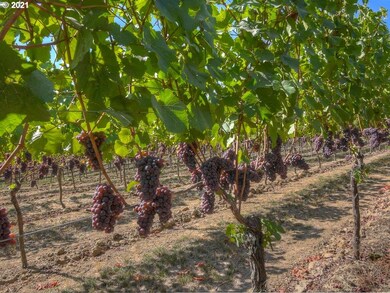 6975 NE Abbey Rd, Carlton, OR 97111 - photo 4