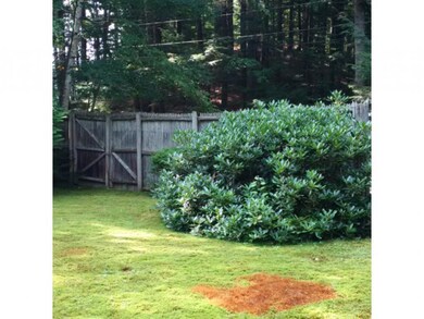 370 N Shore Rd, Hebron, NH 03241 - photo 3