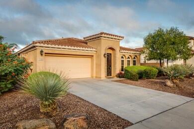 3106 S. Halstead Dr. Chandler AZ 85286 0