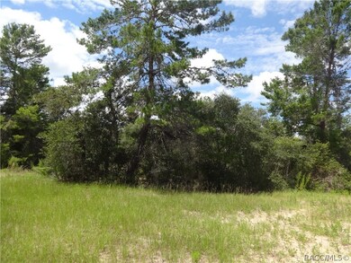 0 SW 175th Loop unit 775011, Ocala, FL 34473 - photo 3