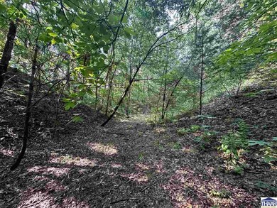 0 S Gorton Rd, Clinton Township, IN 47842 - photo 4