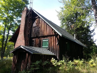 Log Cabin Basement