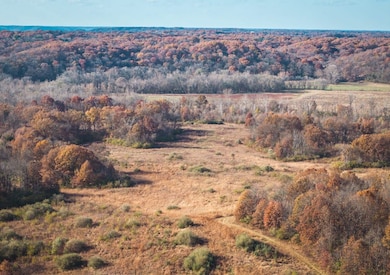 Tbd Sw 875 St, Jerseyville, IL 62052 - photo 3