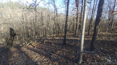 464200 Acorn Ridge, Proctor, OK 74457 - photo 2